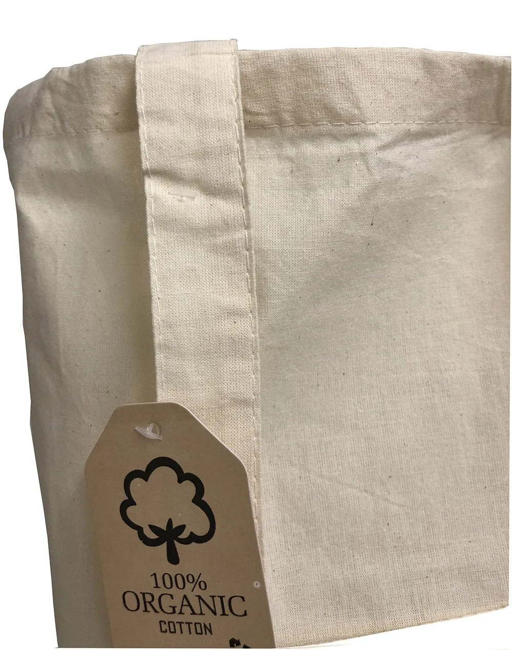 240 ct Organic Cotton Canvas Tote Bags with Gusset - By Case