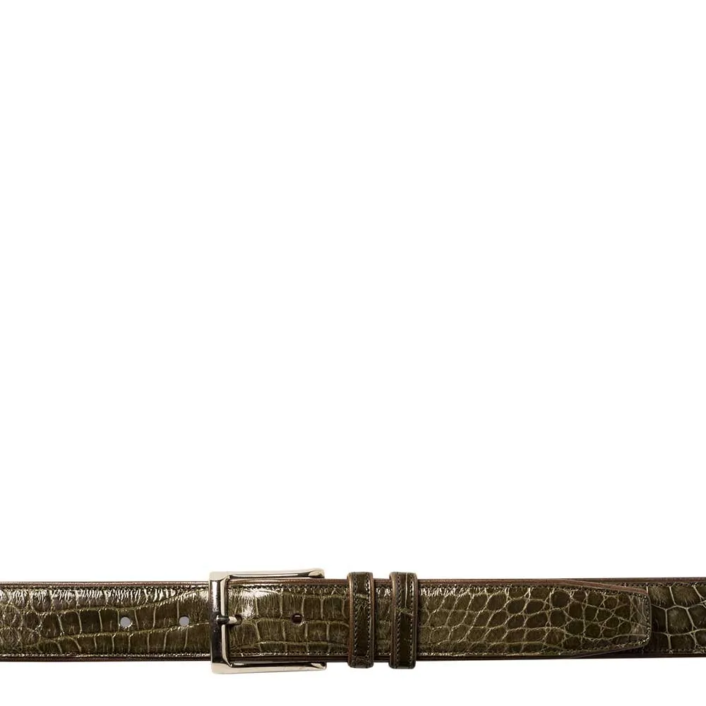 Alligator Belt