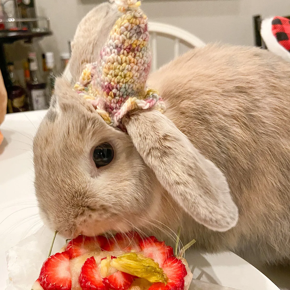 Amelia & Elizabeth's Paw-ty Hats