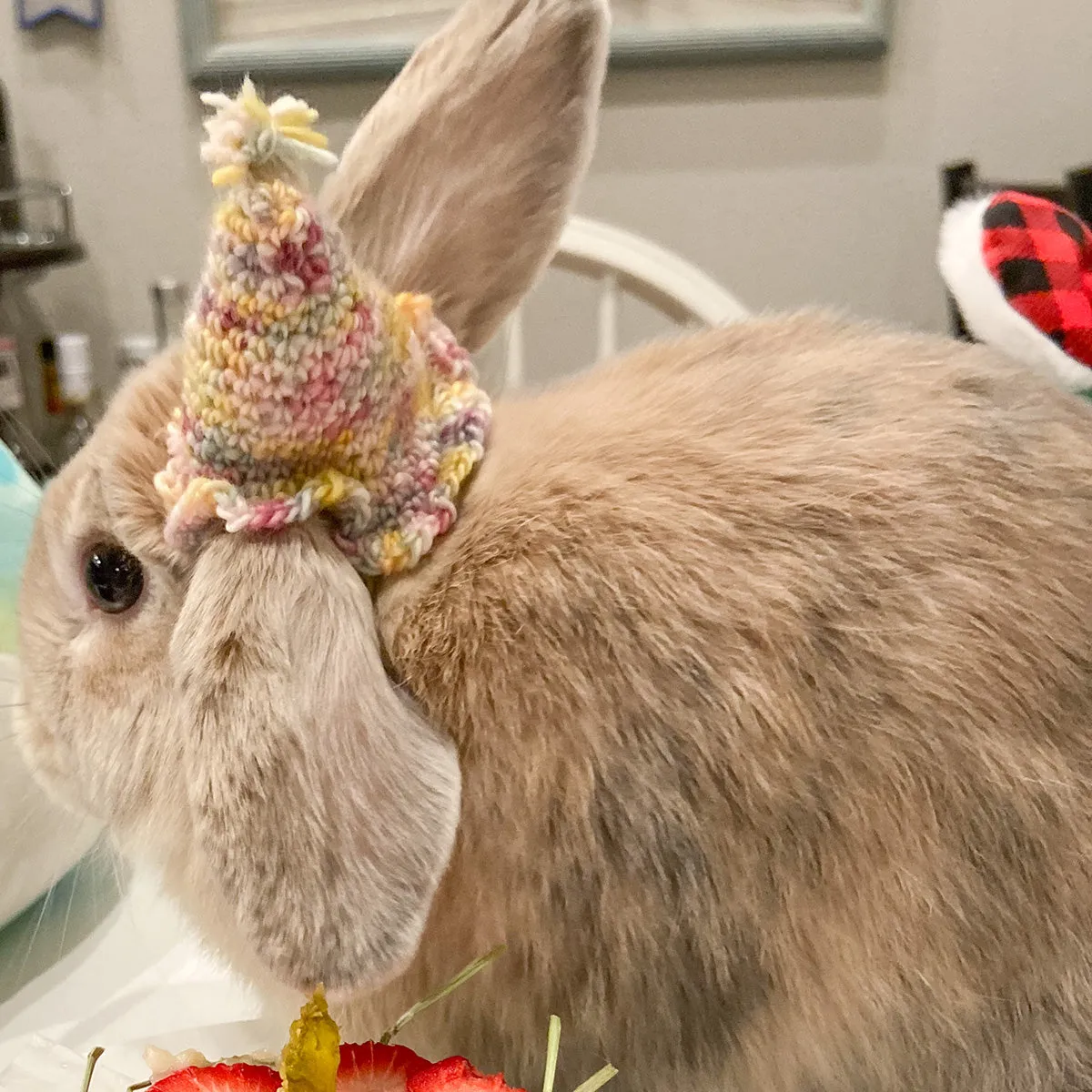 Amelia & Elizabeth's Paw-ty Hats