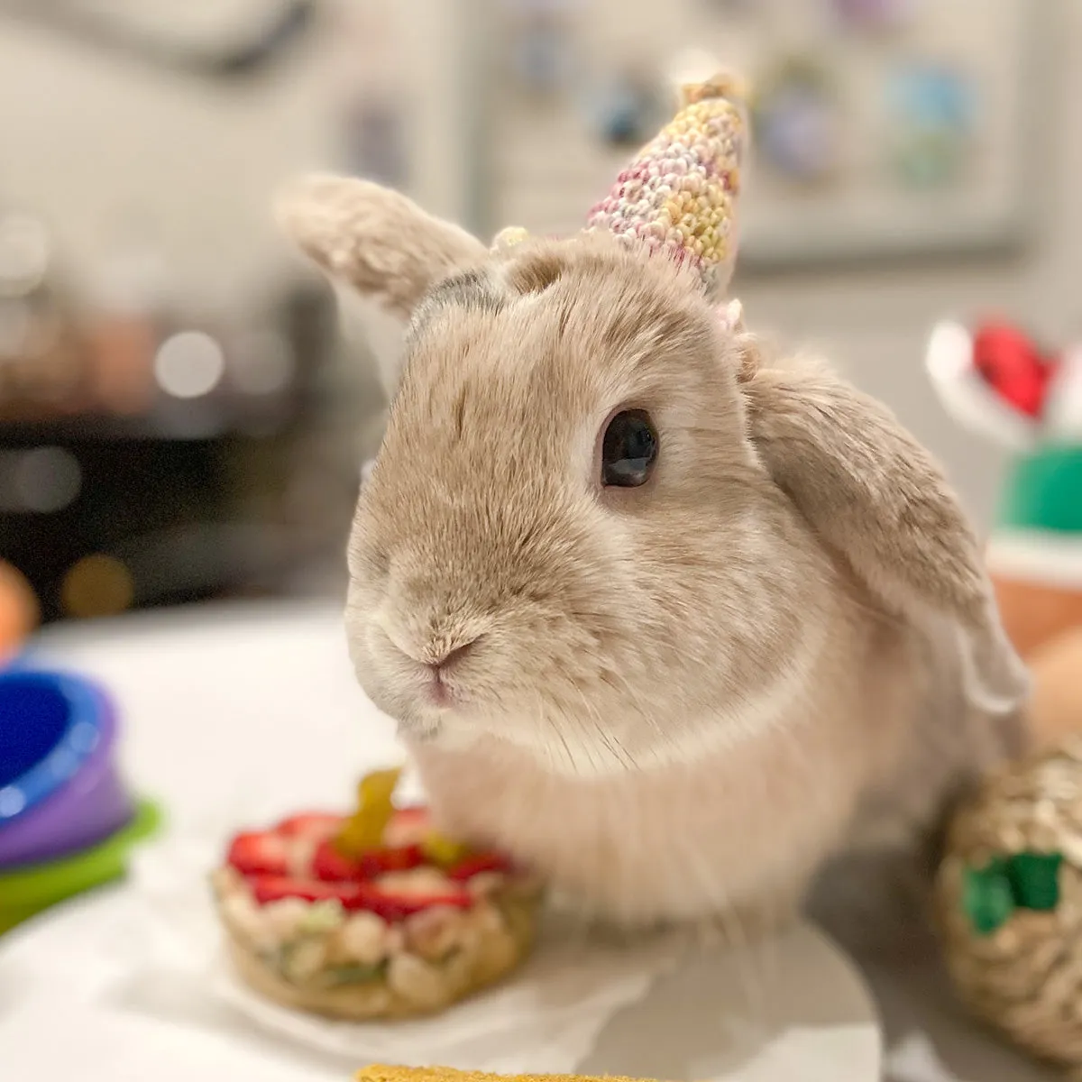 Amelia & Elizabeth's Paw-ty Hats