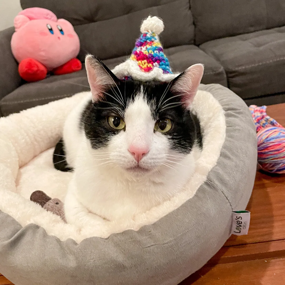 Amelia & Elizabeth's Paw-ty Hats