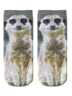 Meerkat Ankle