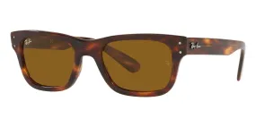 Ray-Ban Mr Burbank RB 2283 954/33