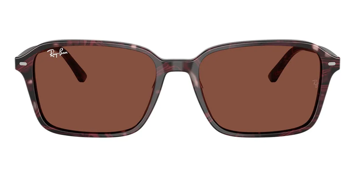 Ray-Ban Raimond RB 2231 1416/C5