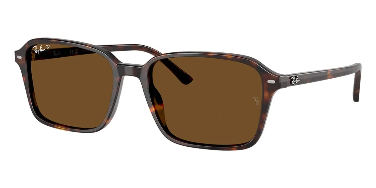 Ray-Ban Raimond RB 2231 902/57