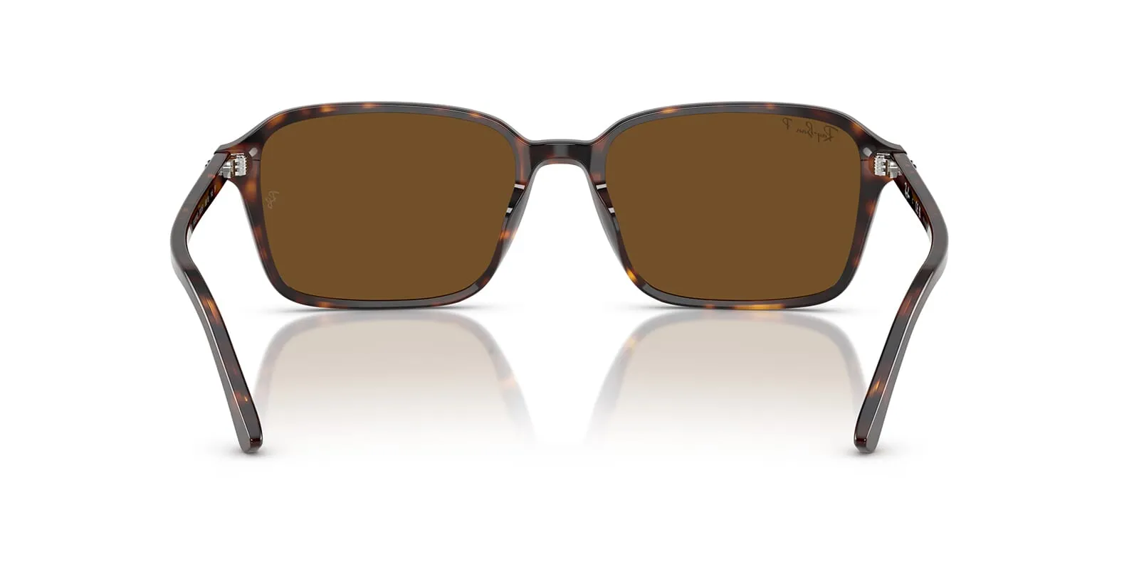 Ray-Ban Raimond RB 2231 902/57