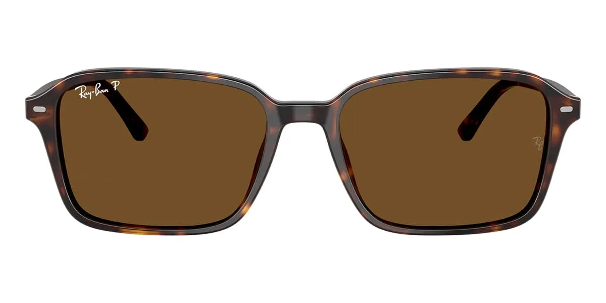 Ray-Ban Raimond RB 2231 902/57